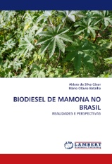 capa-livro-biodiesel